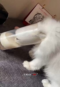 1M views · 10K reactions | Amazing 2021 #handmade #crafts #diy | Handmade | Facebook