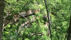22 reactions | The view of cliffs and stream on the ridgeline just west of Cedar Falls in Adams County, Oh. | Adams County, Ohio Travel and Visitors Bureau | Facebook