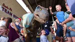 Wisconsin Timber Rattlers on Reels