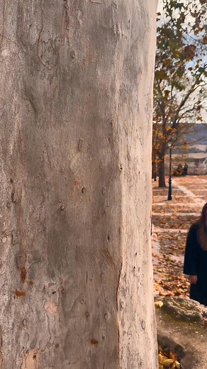 💜🌿 Escapa de la rutina y descubre la magia de Brihuega (Guadalajara) y sus pueblos más bonitos cerca de Madrid. En Hotel Princesa Elima, te ofrecemos el refugio ideal para una escapada romántica, rodeado de naturaleza, tranquilidad y encanto. 💕🏡 Reserva tu estancia y vive momentos inolvidables entre campos de lavanda y calles con historia, a solo unos minutos de Madrid. #HotelesCercaDeMadrid #EscapadaRomántica #PueblosBonitosCercaDeMadrid #Brihuega #HotelConEncanto | Hospederia Princesa Elim