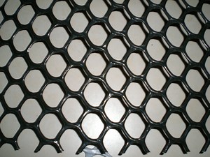 [Hot Item] Plastic Mesh Plastic Screen Mesh From China