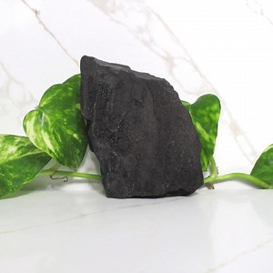 Black Petrified Wood Specimen – Sparkling Druzy Agatized Wood, Natural Crystal Decor Gift - Etsy