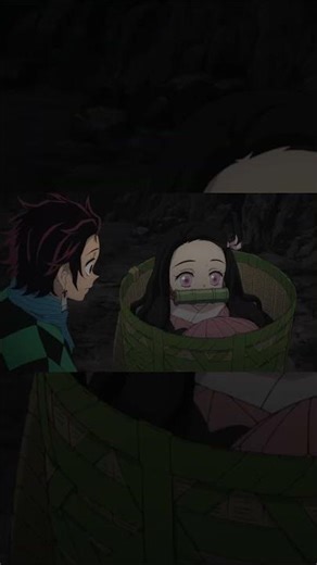 Tanjiro trying to persuade Nezuko to go into the basket | Demon Slayer edit |