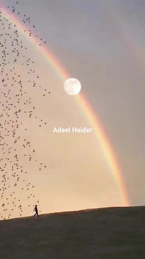 1.6K views · 233 reactions | Samandar Jitna Dil 欄 | Adeel Haider | Facebook