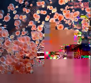 Why do we age? This new theory challenges the idea that aging is simply random damage. Instead, it proposes a fundamental trade-off: the very processes that keep organisms alive and adaptable might also lead to their decline. If this is true, are we destined to age because of this built-in instability? Or could we potentially find ways to manage it and slow down aging? And how does this new idea fit with what we already know about why our bodies break down as we get older? | The Brain Maze