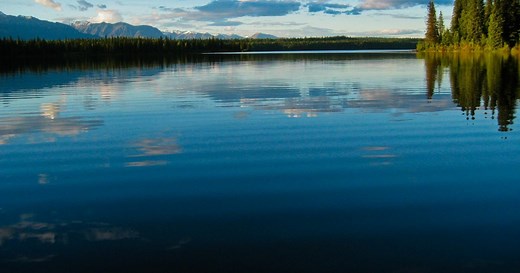 Alaska Nature Guides | Wilderness Day Hikes