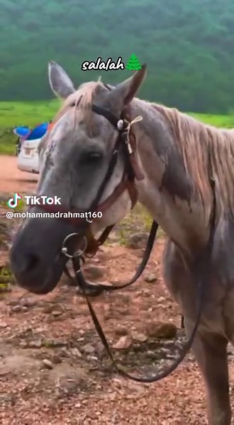 حسابات مقترحة