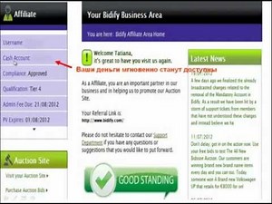 BIDIFY. Пополнение счета SkyFri Картой Viza.