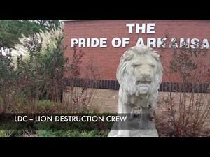 Austin O'Brien Video