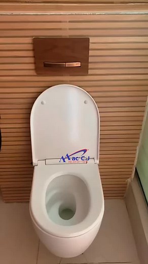 Same WC. Two brilliant ways to install. We installed the Geberit Turbo Flush wall-hung WC with both a concealed tank system and a sleek Monolith tank, each finished with a stunning red gold flush plate. The shower setup? It’s also available as shown in bold matte black and chrome, so your space can match your exact aesthetic, whether clean and classic or striking and modern. 📍DM us or visit our Lagos showroom to get yours. #maccjenglandbathrooms #maccjbathrooms #geberitwc #TurboFlush #monolitht