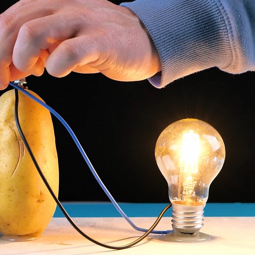 20K views · 40 reactions | A moment of enlightenment while we make a potato light bulb! | This Is Brainy | Facebook