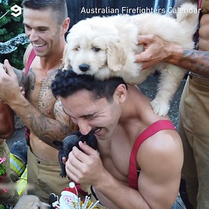 1.6M views · 27K reactions | The firefighters are back with a Christmas special. By Australian Firefighters Calendar | 9GAG | Facebook