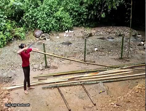Build a sturdy bamboo fence to protect the farm | Capi Solo Bushcraft
