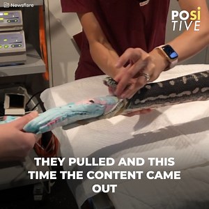 12K views · 26 reactions | The vets didn’t understand how it had gotten in there. | Positive | Facebook