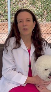 ☀️ While summer means fun in the sun, remember your pets are much...