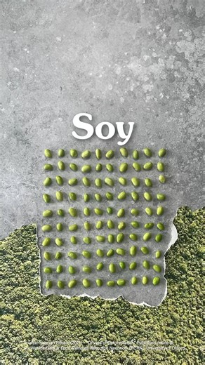 It's true, growing soybeans is leading to deforestation. But it...