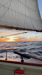 1.5K views · 239 reactions | Mondays, amirite? Enjoy this footage from the sail from Baltimore to Tall Ships St Pete. Video courtesy of Aliyah Carter. #AllWoodAllGood | Pride of Baltimore II | Facebook