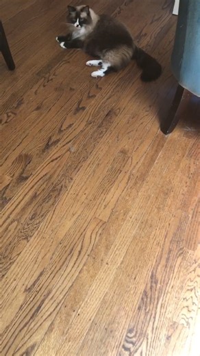 51 reactions · 9 comments | Gretchen Menn on Reels | Facebook