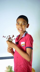 388K views · 16K reactions | විනාඩි 10 න් හදපු tank Setup එක | Asian Fish Export | Facebook