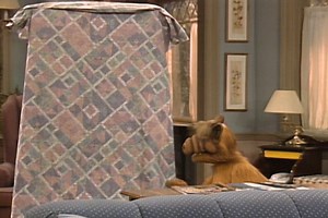 ALF unveils his masterpiece! 🎨✨ Do you remember this classic episode? 👀🚀 #ALF #comedy #sitcom #classicALF | Alf