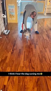 Funny French Bulldog 🐶🤣🤪🥰#dog #dogsoftiktok #frenchbulldog #funny #funnyvideos #cutedog #usa | Kat & Oliver