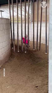 Genius dad creates a homemade carousel for his daughter | Handy Panda