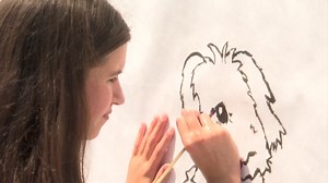 Rehoboth Beach boardwalk wall brings community together - 47abc