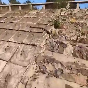 36K views · 166 reactions | Catch giant cobra under the lake. | Wildlife War | Facebook