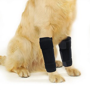 [Hot Item] Neoprene Dog Front Leg Brace, Dog Leg Brace with Metal Strips