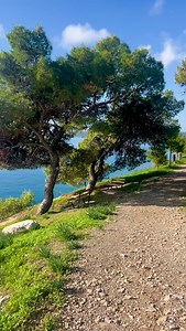 502 reactions · 87 shares | Discovering quiet hidden beaches and coves around Peloponnese is a thing that I truly enjoy doing while travelling around this amazing peninsula. Where is your favourite Greek beach? #ermioni #ermionigreece #peloponnese #greece #hiddengems #hiddenbeach #romantic #travelling #traveling #travelblogger #travelphotography #memories | Peloponnese Guide | Facebook