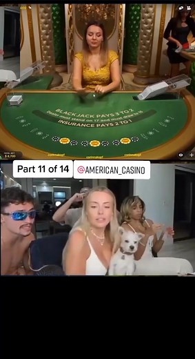 Blackjack stream #fyp #blackjack #gambling #corinnakopf