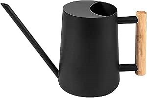 Black Watering Can Indoor Plants, 1L / 33.8 oz Watering Can for Outdoor Plants, Metal Water Can for Plants, Indoor Watering Can with Long Spout for Garden House Plant