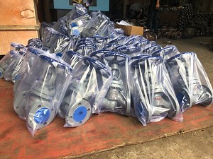 [Hot Item] Grey Iron Body Flange Straight Through Globe Valve