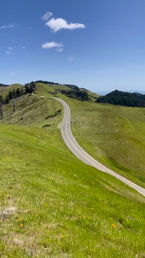 10K views · 567 reactions | Memories of spring on Mount Tamalpais #california #nature #landscape | Dan Kurtzman Photography | Facebook