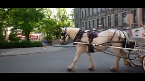 luna okko hub anal sex in quebec hornyfanz