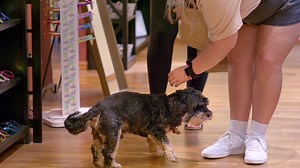 Visit Watertown on Reels | Facebook