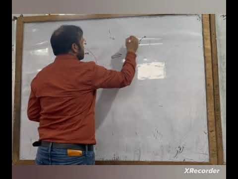 Structure of Glucose Biomolecules L-01