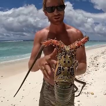 6.9K views · 435 reactions | GIANT LOBSTER Catch & Cook (Island Survival) | Strick & Fran | Facebook