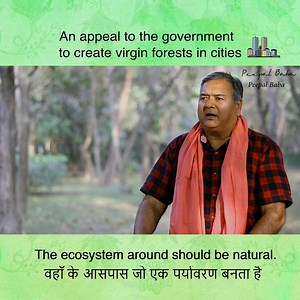 Virgin forests - without human intervention - are the need of the hour. For more such videos, subscribe to Peepal Baba's Youtube channel: https://www.youtube.com/c/PeepalBaba-Givemetrees Also subscribe to the official YouTube channel of Give Me Trees Trust: https://www.youtube.com/channel/UCBk32SiB4RN_KNQEVxCxGaQ | Give Me Trees Trust