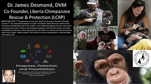 Dr James Desmond, Co-Founder, Liberia Chimpanzee Rescue & Protection — Zoonotic Disease Surveillance – Lifeboat News: The Blog