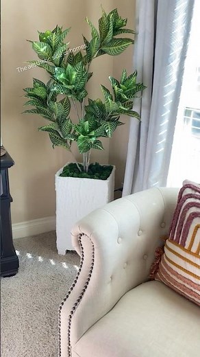 😱DIY budget planter from a cardboard box , luxe for less. #shorts #diyprojects #shortsvideo