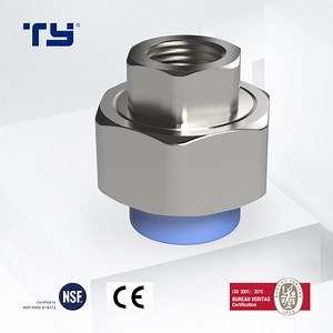 [Hot Item] Female Union Brass Blue PPR High Pressure Pipe Fitting for Hot/Cold Water