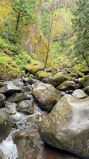 the land of erratic boulders... #earth #nature #forestwhispers #geology