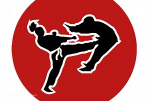 Agent Sonya Traped - Hotfighters Official Profile | LoyalFans