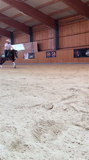 Exciting Reining Horse Progress: A Sunday Funday