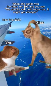 37 reactions | Planning your next holiday? Flight costs can hit your...