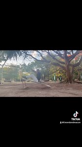 You can make progress or you can make excuses. You can’t do both !...