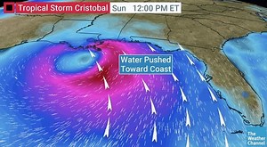 16K views · 272 reactions | Tropical Storm #Cristobal will be bringing a heightened threat for coastal flooding across many Gulf beaches. | The Weather Channel | Facebook