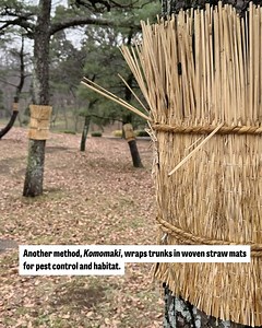 2.4K views | Tokyo Cheapo on Reels | Facebook