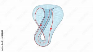 topology geometry mathematical object 3d representation. Also called klein bottle represents a non orientable surface like the mobius strip, universe shape dimension or a continuous surface Stock Video